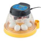 Chocadeira digital automática controle de umidade - Brinsea Mini EX para 7 ovos