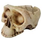 Cinzeiro Caveira Cranio De Resina Betume 6,5X8X11Cm