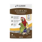 CLAYCAL Suplemento alimentar absorvente de toxinas, Rico em Cálcio e Carvão ativado 575g HARI