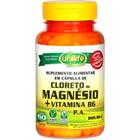 Cloreto de Magnésio P.A + Vitamina B6 800 mg - 60 Cápsulas Unilife
