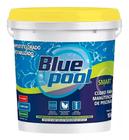 Cloro Para Piscina Bluepool Balde 10 Kg By Fluidra Smart