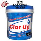 Cloro Piscina Granulado Orgânico 2,5kg Clorup