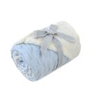 Cobertor Bebe Laço Plush Sherpam Hearts 90x110 cm Azul - 789