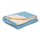 Cobertor carneirinho para bebê quentinho azul