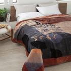 Cobertor Casal Raschel Plus 1,80m X 2,20m Jolitex - Alhambra