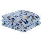 Cobertor Fantasy Solteiro Infantil Mantinha Flannel