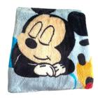 Cobertor Infantil Raschel Plus Disney - Jolitex Ternille