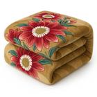 Cobertor Jolitex Kyor Plus Microfibra Macio Antialérgico