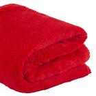 Cobertor Manta Casal Microfibra 2,25x1,80 Toque Macio Lisa Vermelho - Shop Casa Nobre