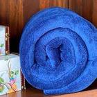 Cobertor Manta Casal Padrão Anti Alérgico Azul Royal Macia