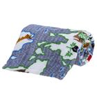 Cobertor Solteiro Infantil Flannel Estampado Kids - Continents Cinza