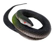 Cobrinha De Borracha Cobra De Borracha Serpente Soft - 1 Unidade