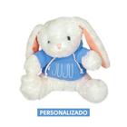 Coelho Pelúcia com Blusa Moletom Capuz Personalizado - Azul - 25cm - 01 unidade - Cromus Páscoa - Rizzo