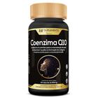 Coenzima Q10 Vitamin Complex 850 Mg 60 Caps Hf Suplements