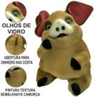 Cofre Porquinho Grande Em Gesso Guarda Moedas Infantil Porco Cofrinho Gesso