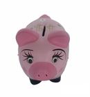 Cofre Porquinho Porco Para Moedas Dinheiro Cerâmica Decorada