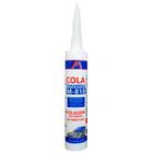 Cola Adesiva Para-Brisa 400G Mastiflex