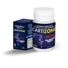 Colágeno Cartizone Tipo Ii 500Mg 60 Capsulas Doc