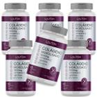 Colageno Hidrolisado Concentrado com Vitamina C + Biotina Lauton - Kit 6