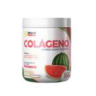 Colágeno Hidrolisado Solúvel Melancia 200g - Shell Nutry