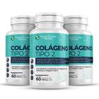 Colágeno Tipo 2 500mg 240 Cápsulas Vitaminas C , E, B6 b1 B12 D3 Niacina Articulções UC 2 4 frascos x 60 Cápsulas