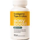 Colágeno Tipo 2 Ultra Easy Boost Msm Hialurônico D3 60 Caps