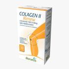 Colageno Tipo 2 + Vitaminas e Minerais C/ 30Caps