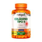 Colágeno Tipo II 40mg Função Articular 30 Cápsulas - Katiguá