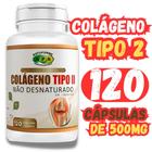 Colágeno tipo II não desnaturado 120 capsulas 500 mg