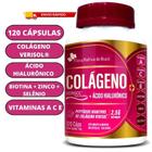 Colágeno Verisol + Ácido hialurônico + Biotina 120 Cápsulas