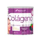 Colageno verisol + acido hialuronico bodyaction 200g - frutas vermelhas