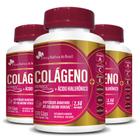 Colágeno Verisol + Ácido Hialurônico com Vitamina A, E, C, Biotina, Zinco 750mg Kit 3x 120 Cápsulas - Flora Nativa