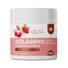 Colágeno VERISOL by Vanessa Guirau & Renata Meins - 150g (Frutas Vermelhas)