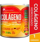 Colágeno Verisol E Ácido Hialurônico 250g Flora Nativa