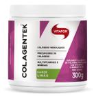 Colagentek -Colageno com Vitaminas e Minerais Sabor Limão 300g - Vitafor