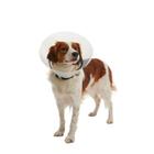 Colar Elizabetano Pet p/ Cachorro Kruuse Buster Clic 40cm