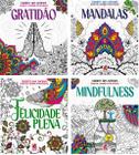 Coleção C/4 Livros Grandes Para Colorir Jardim dos sonhos Arteterapia Antiestresse
