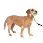 Coleira de cabeça para cães PetSafe Gentle Leader No-Pull Small Silver