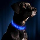 Coleira de LED Recarregável USB para Cães Illumiseen - Azul