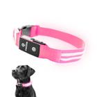 Coleira LED Light Up para cães Tractive USB recarregável rosa