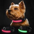 Coleira LED para cães Nobleza USB recarregável Light Up Waterproof