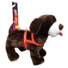 Coleira Peitoral Seda Neon Cães 15mm Laranja nº 3 - NicaPet