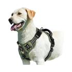 Colete Acolchoado para Cão - Ajustável e com Alça de Controle