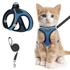 Colete de gatinho ajustável Cat Harness SALFSE azul refletivo M