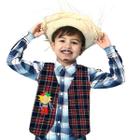 Colete Xadrez Infantil Menino Festa Junina Arraiá Manga Longa São João Arraia Roupa Caipira Criança Quadrilha Quermesse Look