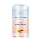 Collcreatine 500g 25 Porções Tagenrina Central Nutrition