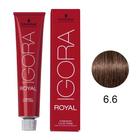 Coloracao igora royal 6.6