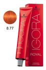 Coloração Igora Royal 8-77 Louro Claro Cobre Extra 60g