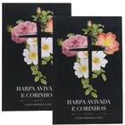 Harpa Avivada e Corinhos Capa Brochura Letra Hipergigante Papel Hinário  Evangélico Cristão Evangélico Gospel Igreja Família Homem Mulher Jovens  Adoles - Outros Livros - Magazine Luiza