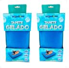 Combo 2 Tapete Gelado Mypetone 50x65 Tamanho Médio para Cães - Azul